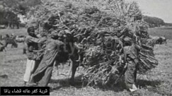 فيديو نادر من عام 1908 لقرية كفرعانة قضاء يافا 